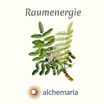 alchemaria Baumenergie-Duftsprays 75 ml