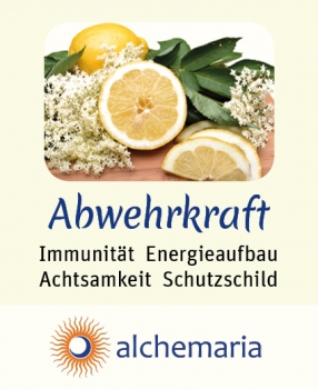 Energiespray ABWEHRKRAFT 20 ml