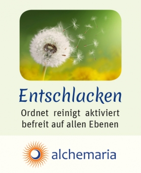 Energiespray ENTSCHLACKEN 20 ml