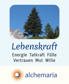 Energiespray LEBENSKRAFT 20 ml
