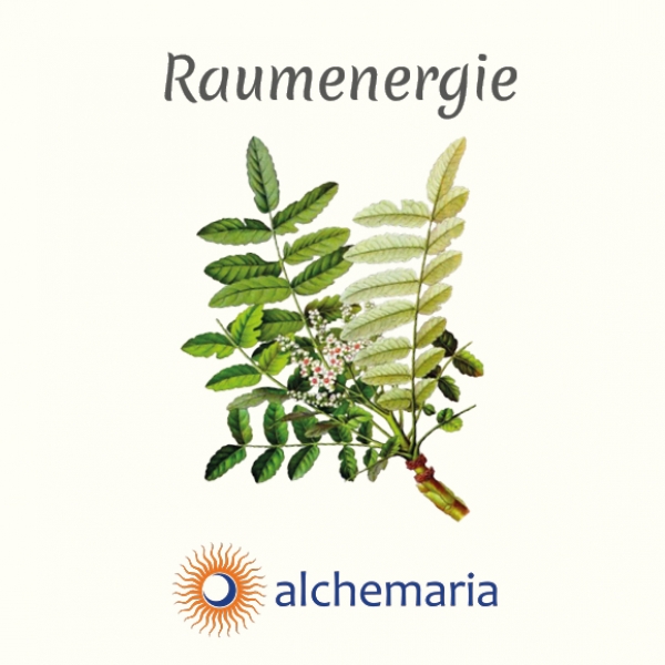 alchemaria Baumenergie-Duftsprays 30 ml