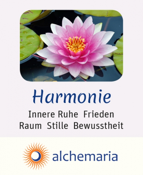 Energiespray HARMONIE 20 ml