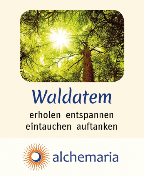 Energiespray WALDATEM 20 ml